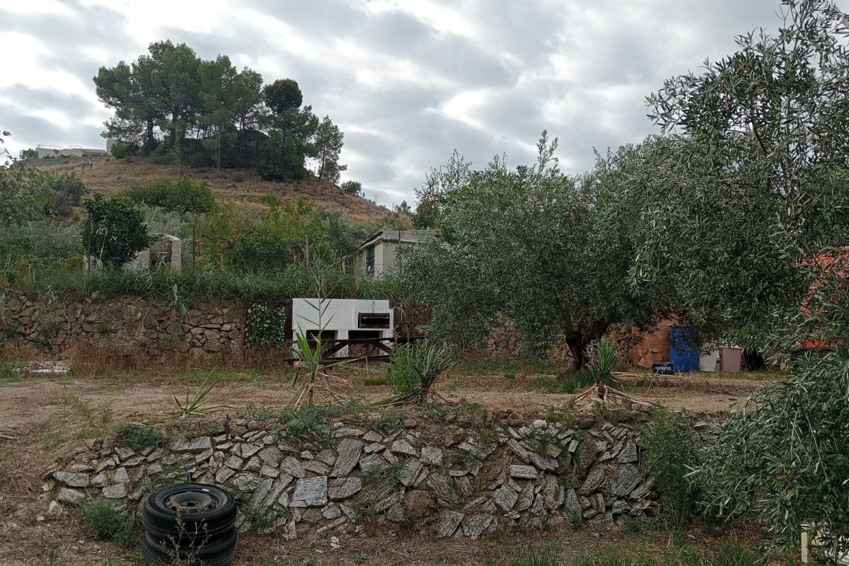 Revente - Parcelle / Terrain - La Nucía