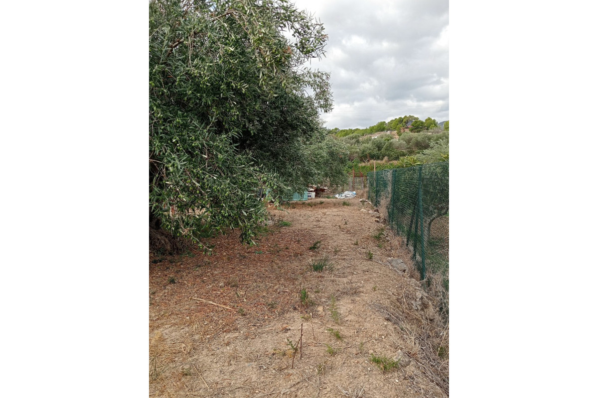 Revente - Parcelle / Terrain - La Nucía