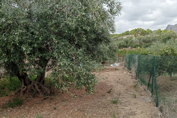 Revente - Parcelle / Terrain - La Nucía