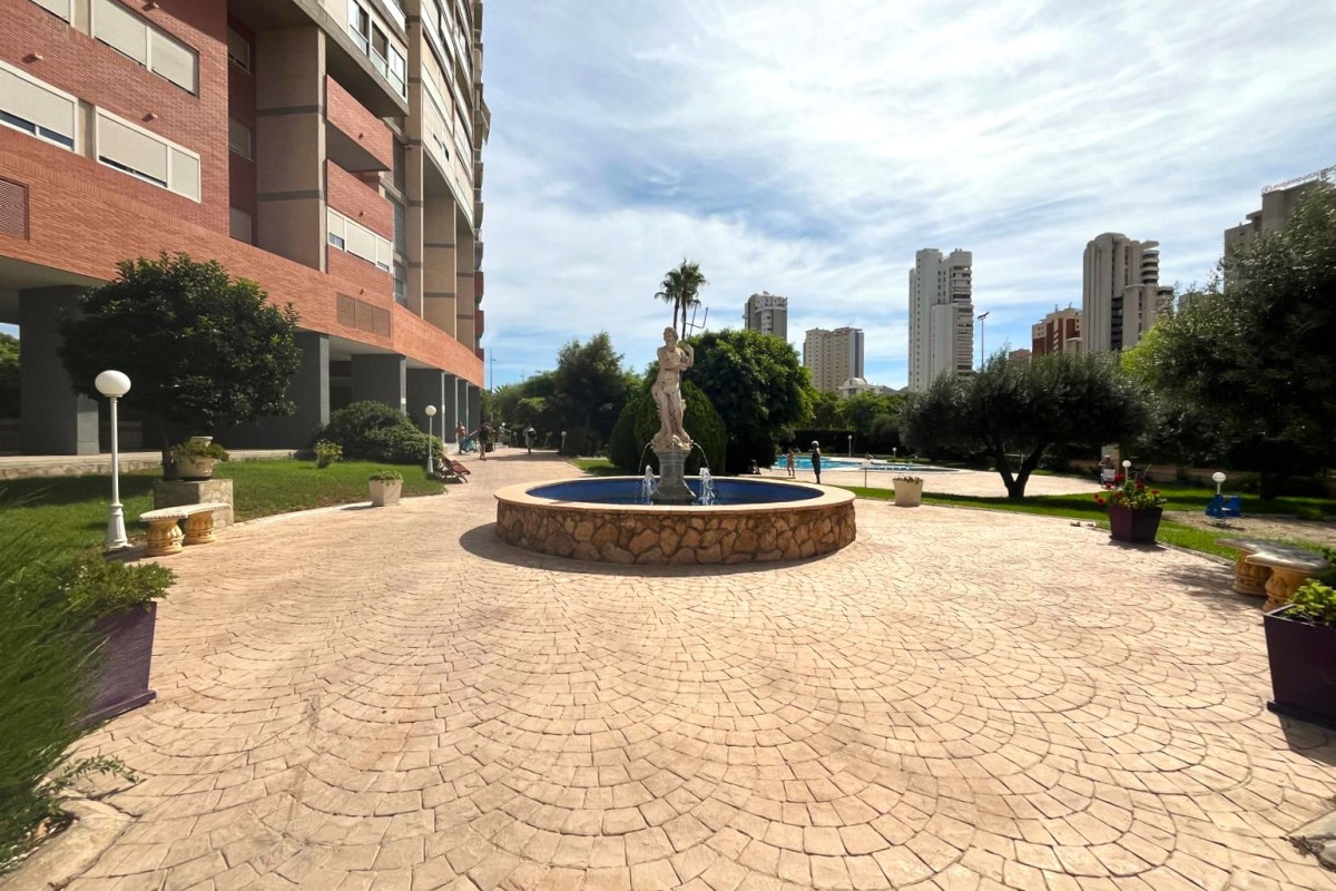 Herverkoop - Apartment / flat - Benidorm - Centro