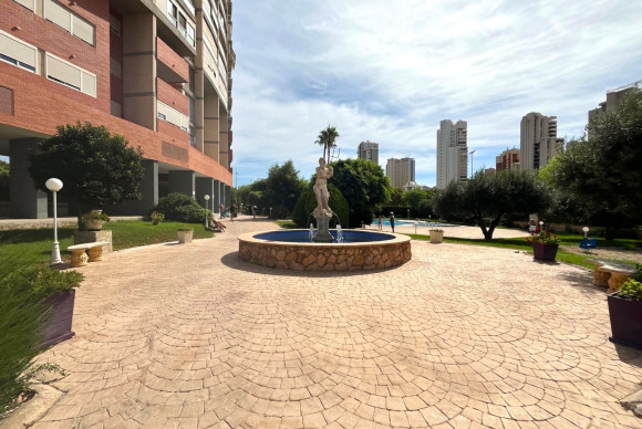Herverkoop - Apartment / flat - Benidorm - Centro