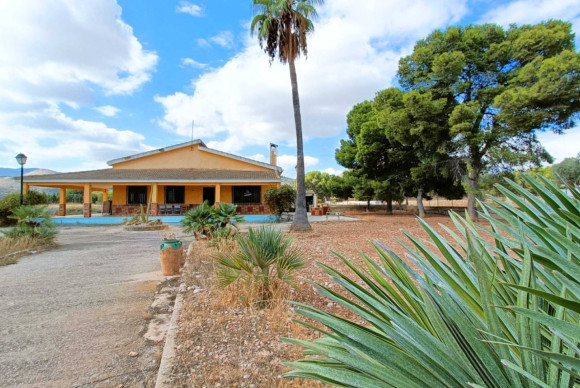 Herverkoop - Landelijke woning - Aspe