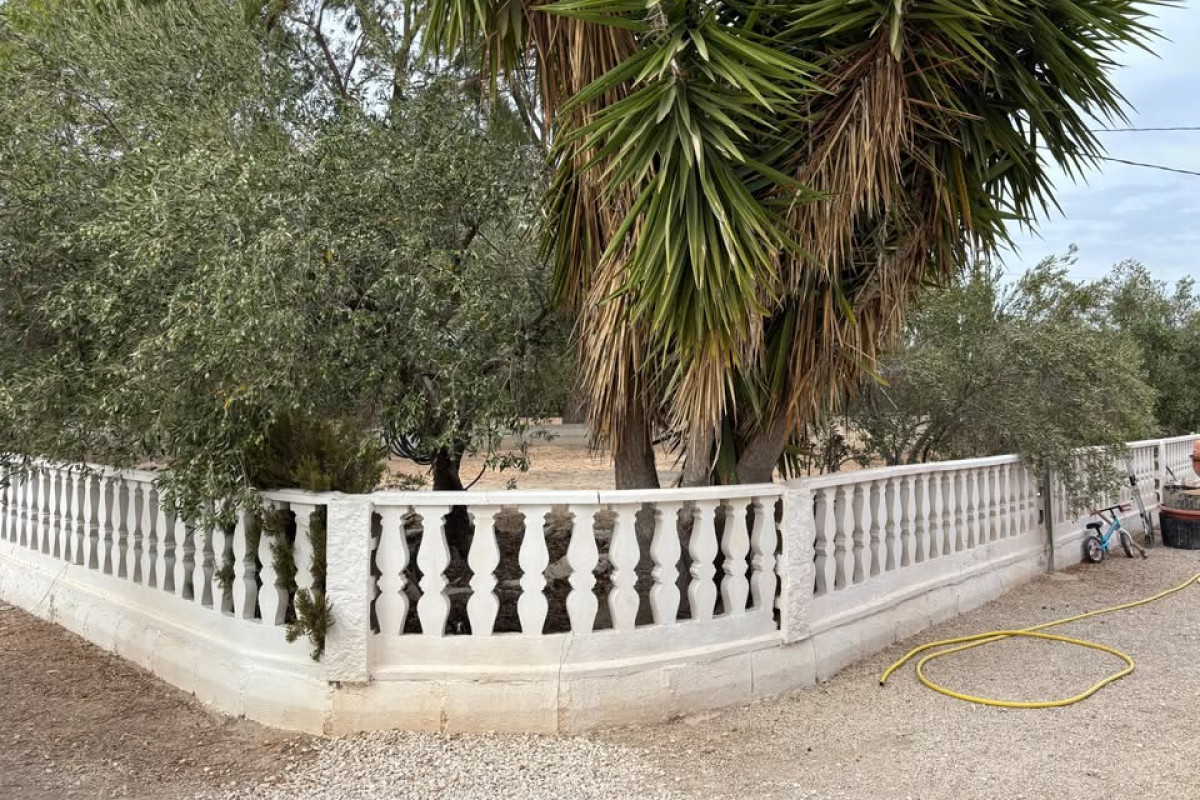 Reventa - Country House - Elche