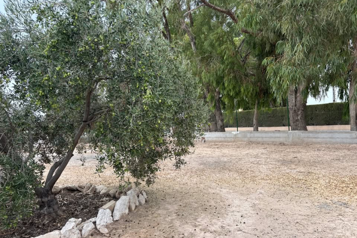 Reventa - Country House - Elche