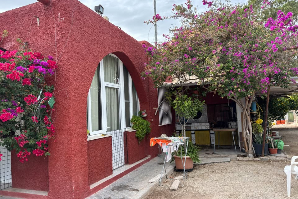 Reventa - Country House - Elche