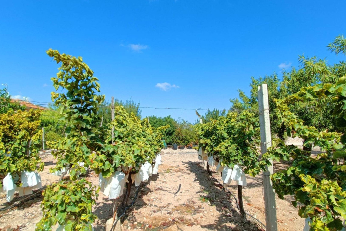 Revente - Country House - Aspe