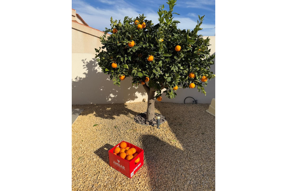 Herverkoop - Vrijstaande Villa - Ciudad Quesada - La Marquesa