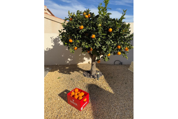 Herverkoop - Vrijstaande Villa - Ciudad Quesada - La Marquesa