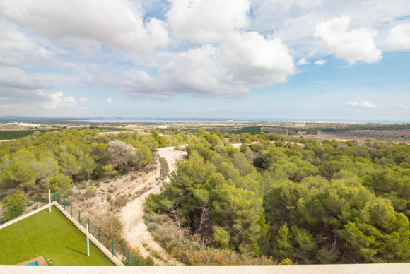 Resale - Apartment  - San Miguel de Salinas