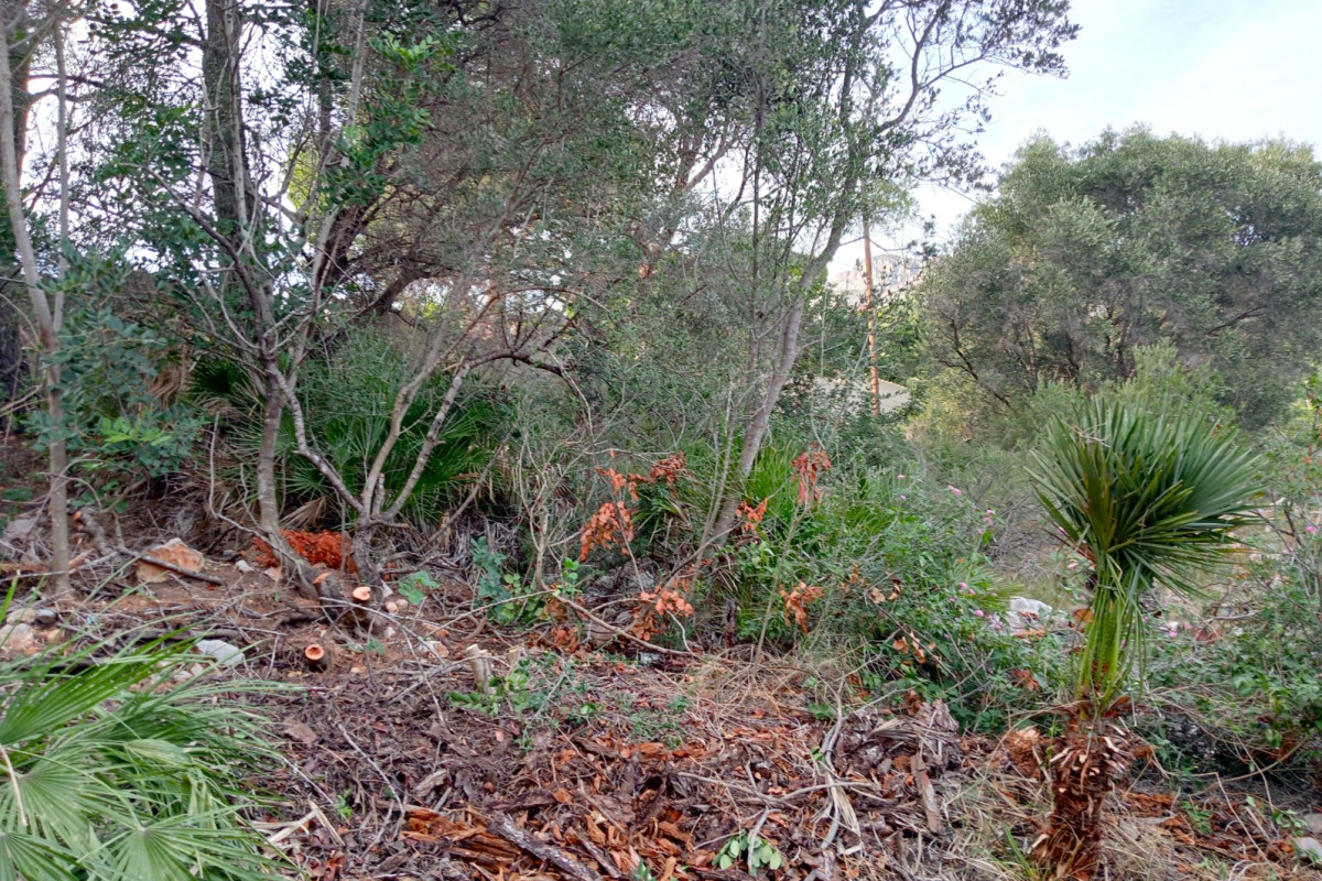 Herverkoop - Bouwgrond - Altea