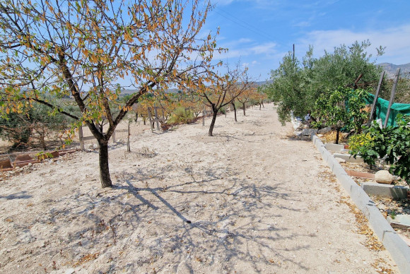 Reventa - Country House - monovar