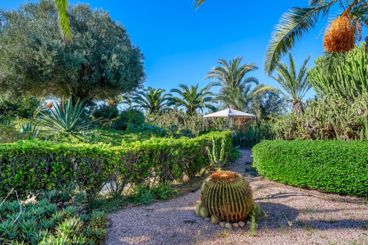 Herverkoop - Landelijke Woning-Finca - Los Montesinos - los montesinos