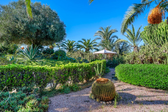 Herverkoop - Landelijke Woning-Finca - Los Montesinos - los montesinos