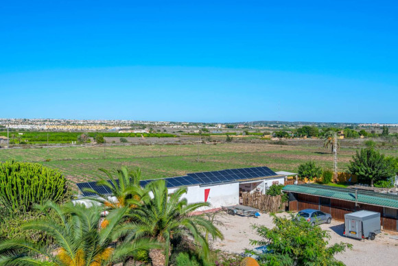 Herverkoop - Landelijke Woning-Finca - Los Montesinos - los montesinos