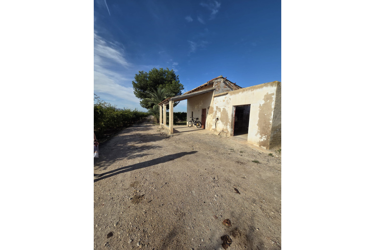 Revente - House - ALBATERA - Albatera