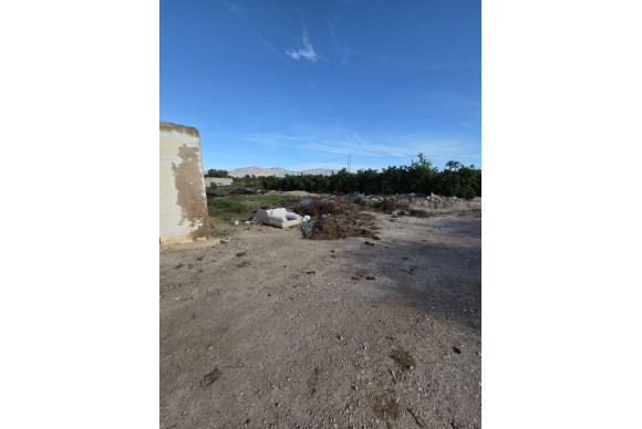 Revente - House - ALBATERA - Albatera