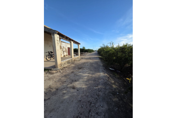 Revente - House - ALBATERA - Albatera