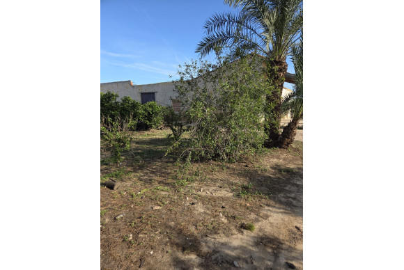 Revente - House - ALBATERA - Albatera