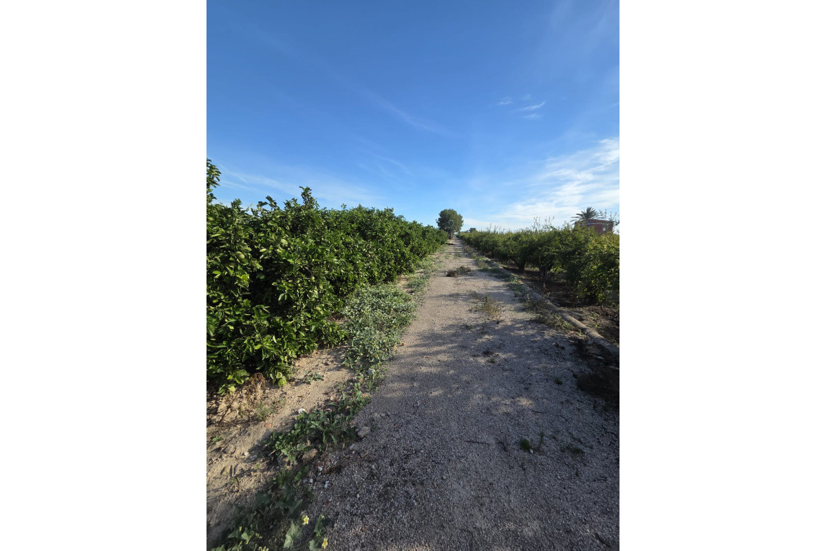 Revente - House - ALBATERA - Albatera