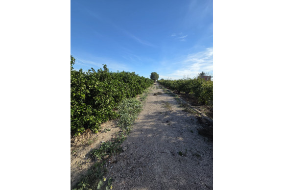 Revente - House - ALBATERA - Albatera