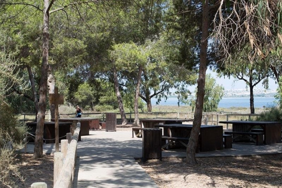 Herverkoop - Appartement  - La Mata - La Mata - Town