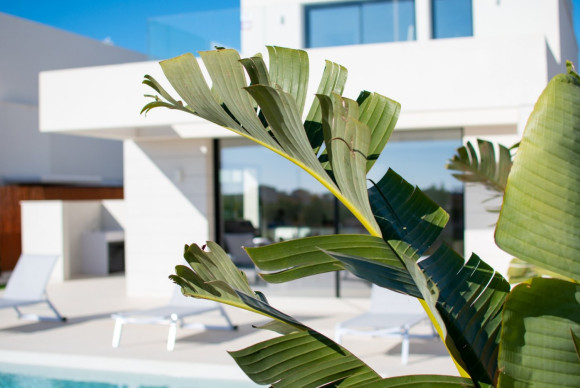 Nouvelle construction - Villa de Lujo - Los Montesinos - los montesinos