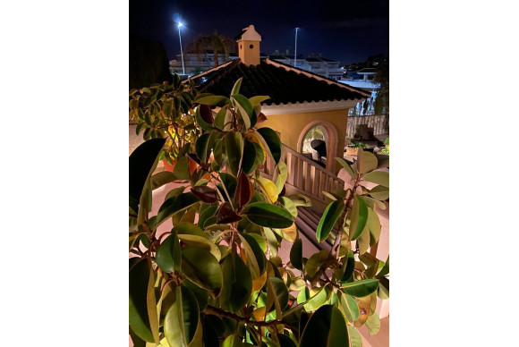 Revente - House - Ciudad Quesada - La fiesta 2