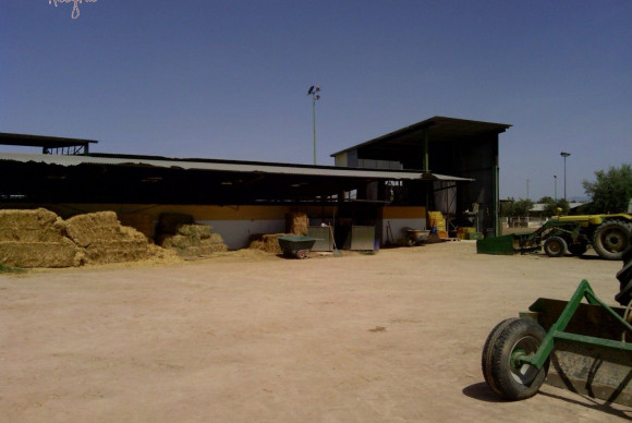 Reventa - Hacienda - Elche