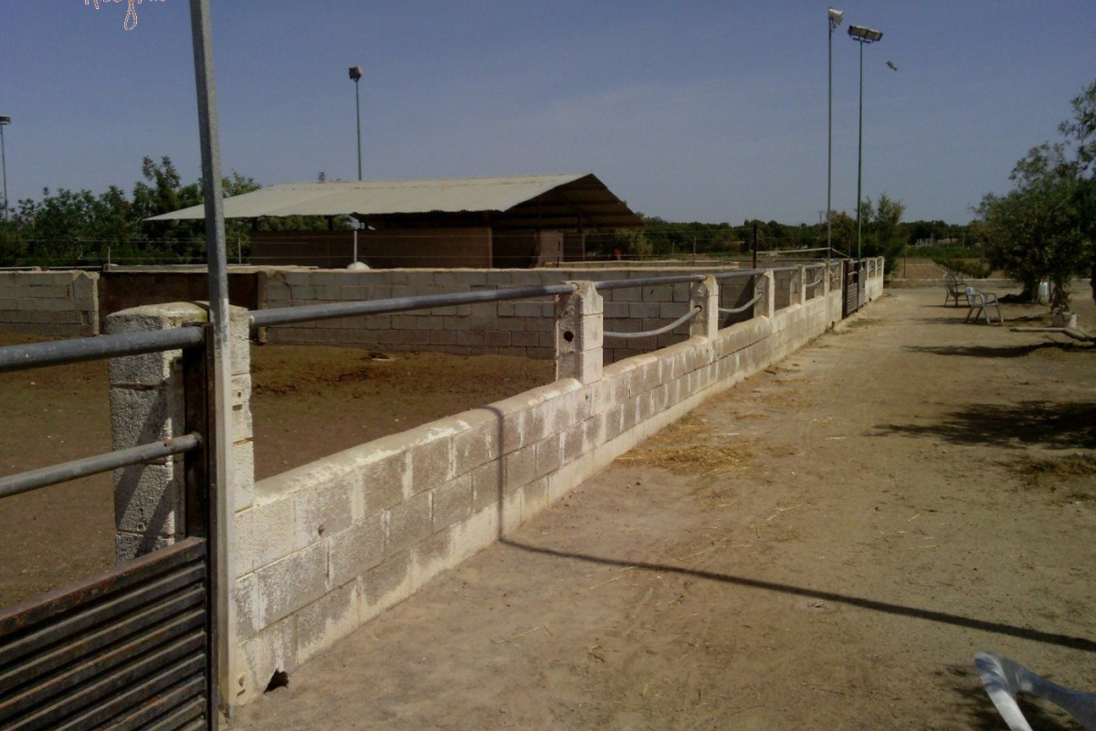 Reventa - Hacienda - Elche