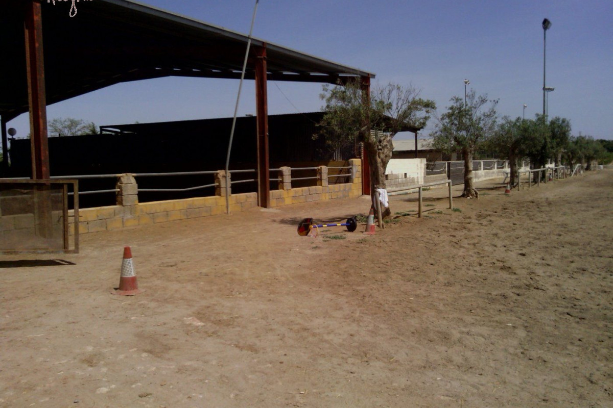 Reventa - Hacienda - Elche