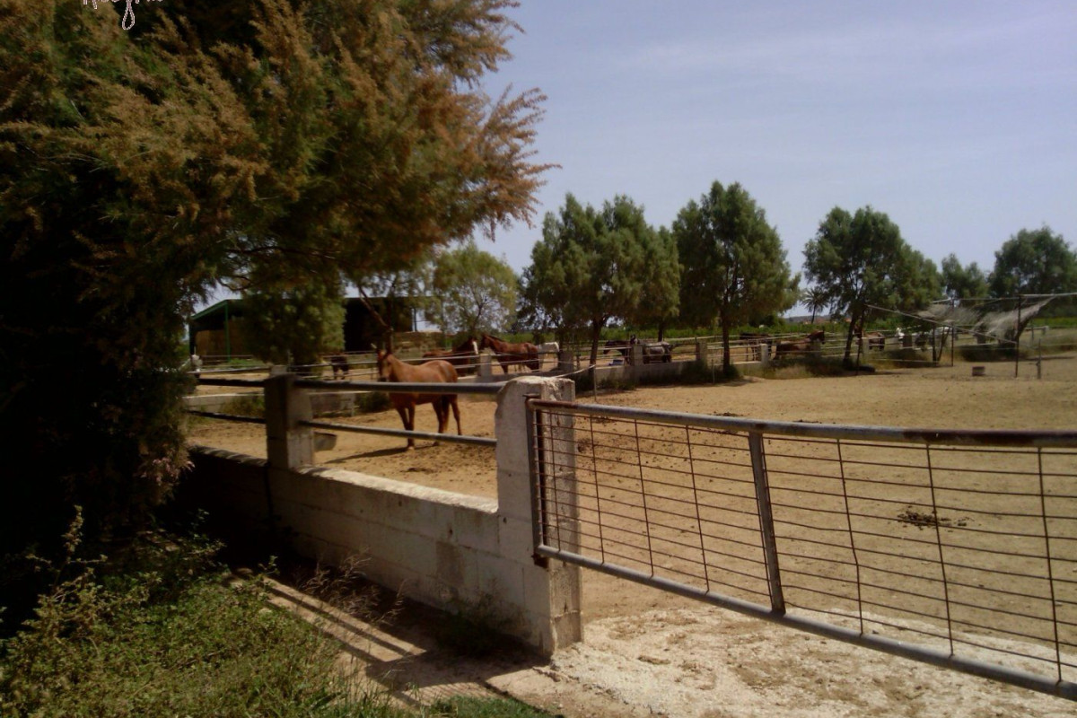 Reventa - Hacienda - Elche