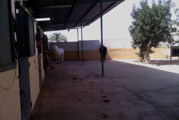 Reventa - Hacienda - Elche