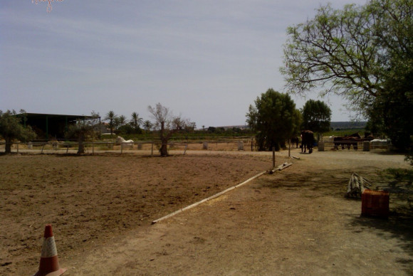 Reventa - Hacienda - Elche