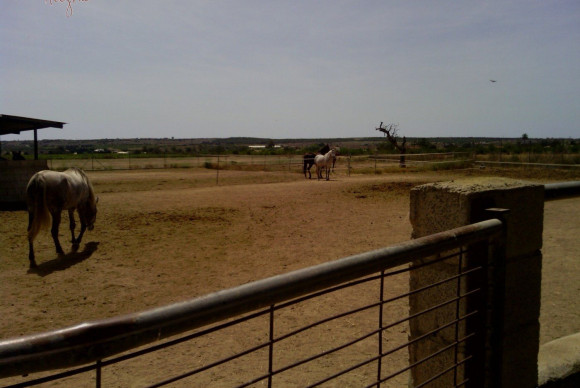 Reventa - Hacienda - Elche