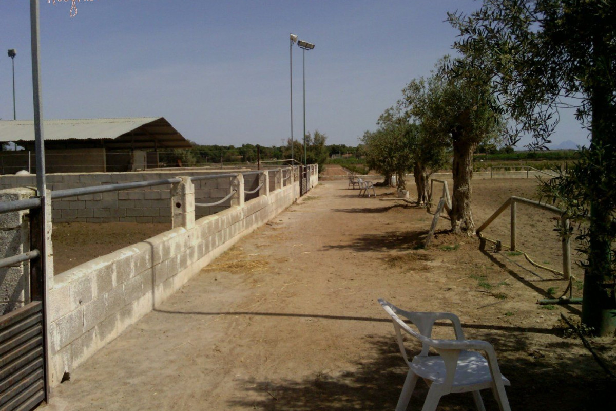 Reventa - Hacienda - Elche