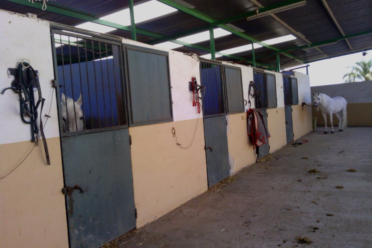 Reventa - Hacienda - Elche