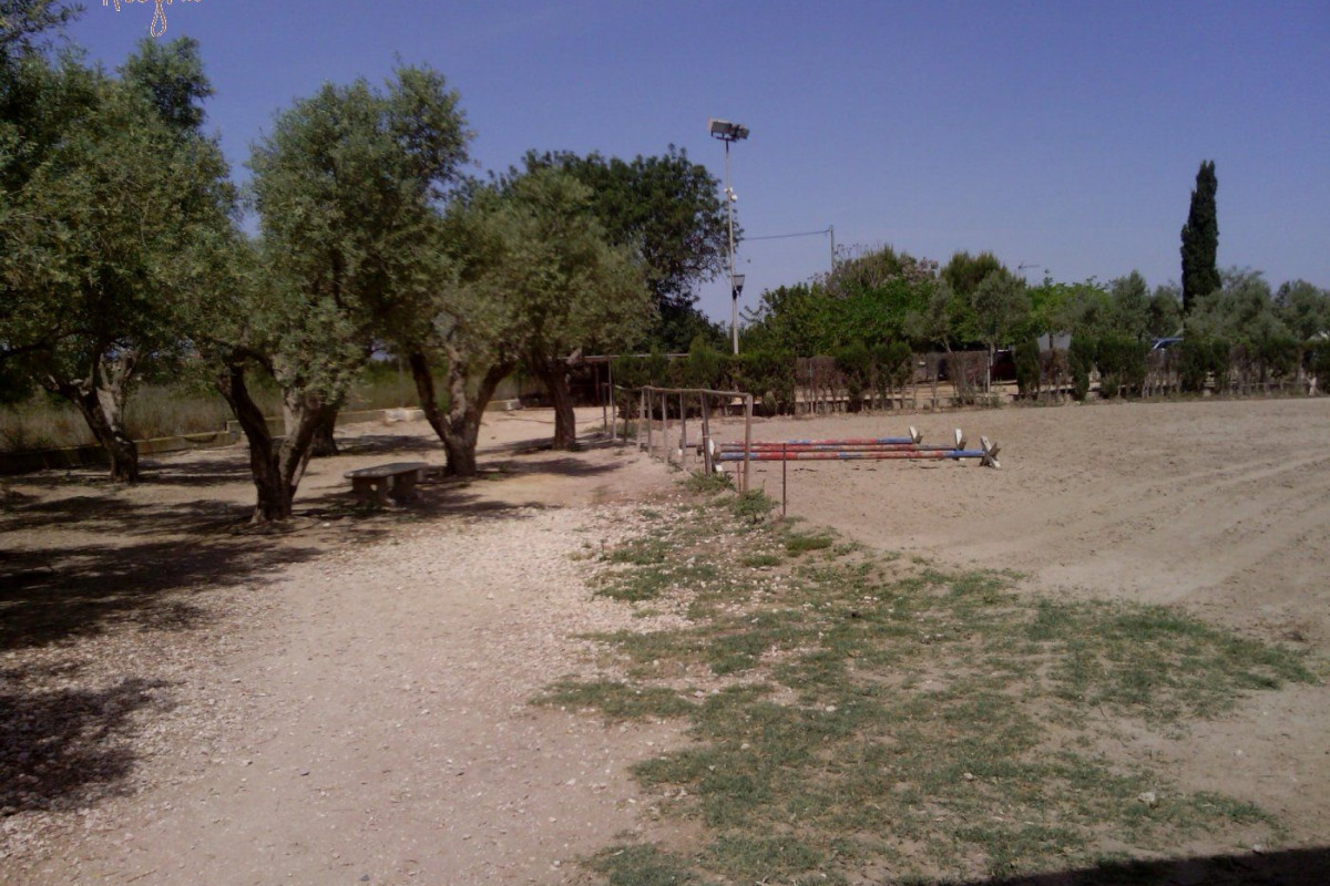 Reventa - Hacienda - Elche