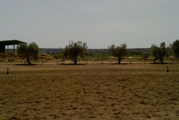Reventa - Hacienda - Elche