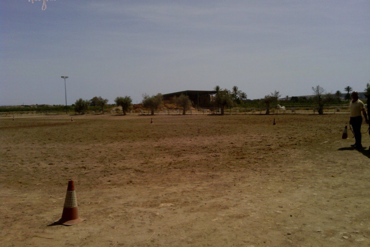 Reventa - Hacienda - Elche