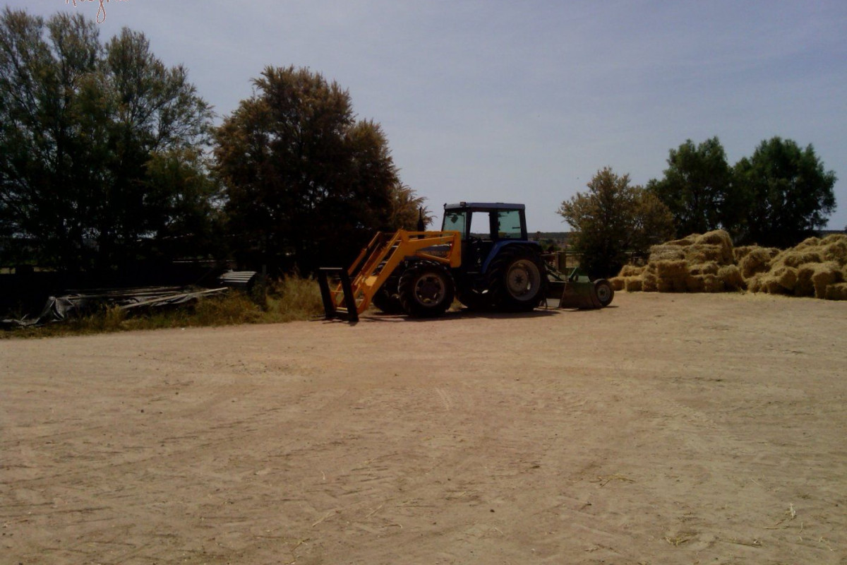 Reventa - Hacienda - Elche