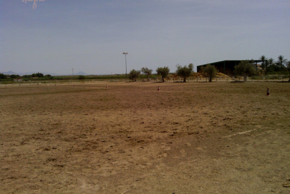 Reventa - Hacienda - Elche