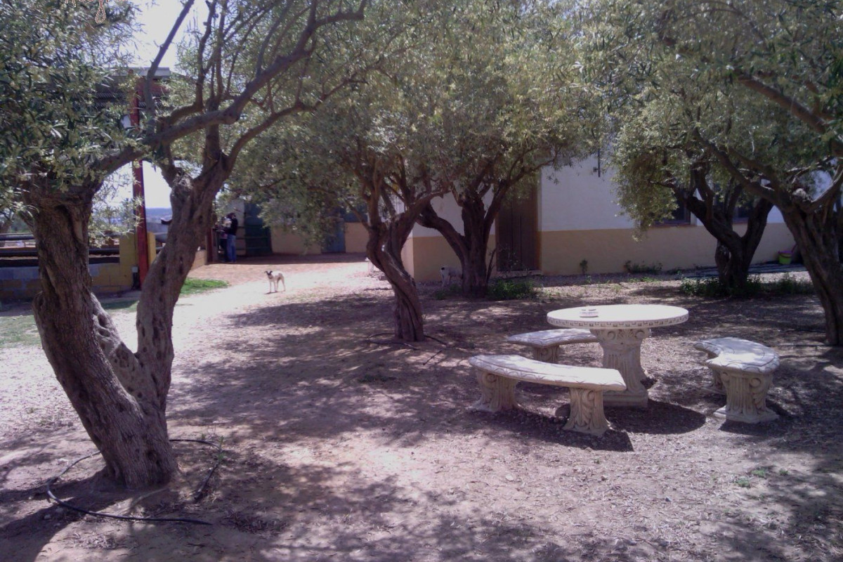 Reventa - Hacienda - Elche