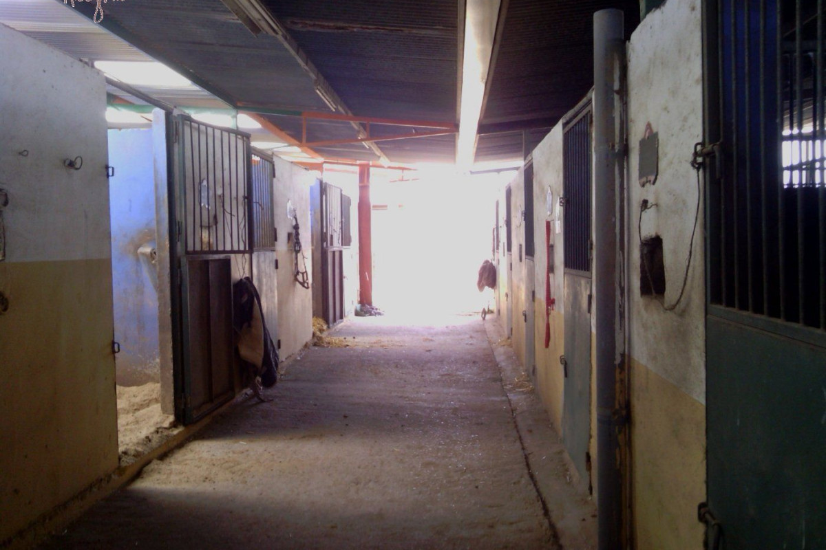 Reventa - Hacienda - Elche