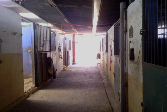 Reventa - Hacienda - Elche