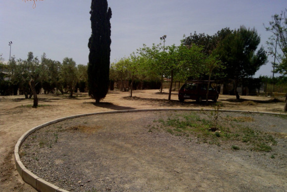 Reventa - Hacienda - Elche