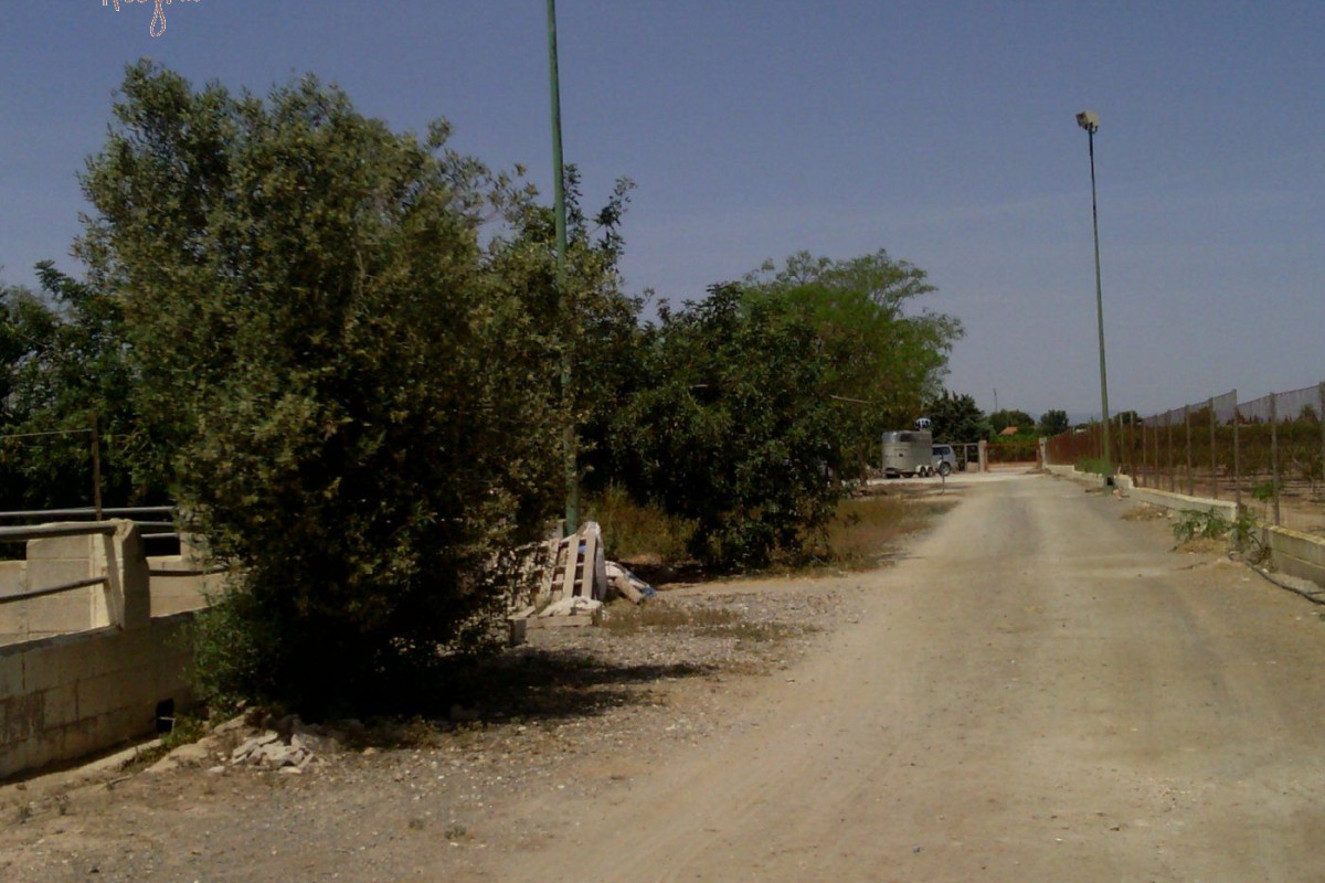 Reventa - Hacienda - Elche