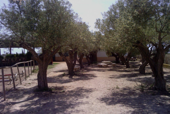 Reventa - Hacienda - Elche