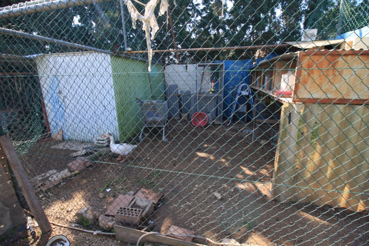 Reventa - House - Orihuela Costa - Campoamor