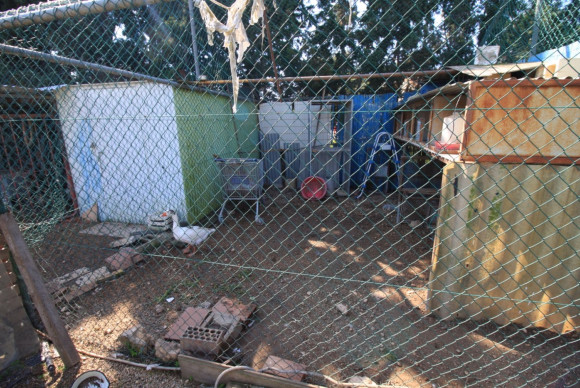 Reventa - House - Orihuela Costa - Campoamor