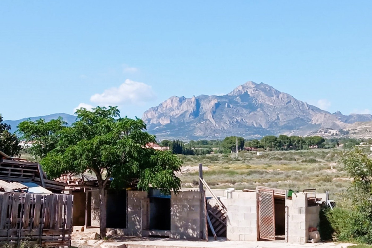 Revente - House - Mutxamel - Bonalba-Cotoveta
